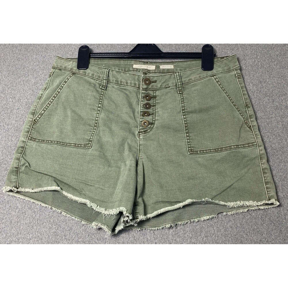 A Beautiful Soul Women Plus Shorts Green Sz 16